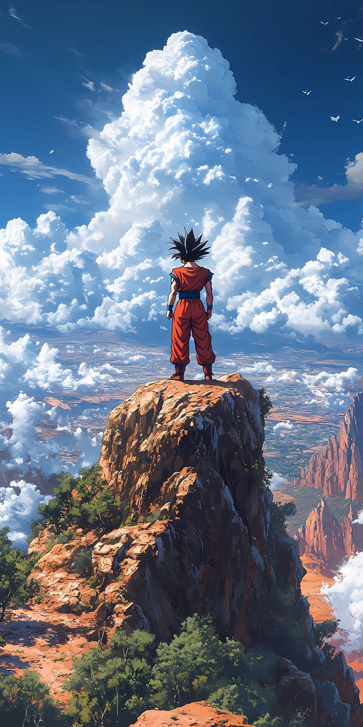 DBZ Collection 🐉